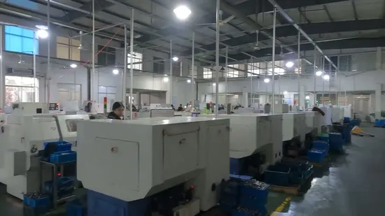 Experience Unmatched Performance with CNC Turned Titanium Disc Bolts