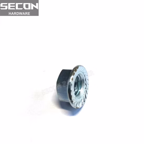 China Suppliers Supply Various Styles Hexagon Flange Titanium Nut