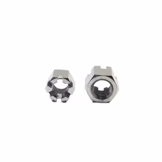 ANSI/ASME B 18.2.2 Gr5 Titanium Hex Slotted Nuts
