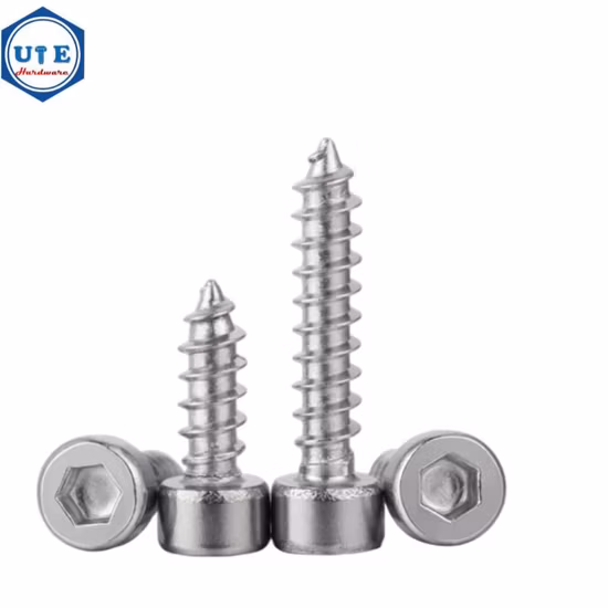 Stainless Steel Screw Special Screw Non-Standard Screw Hex Socket Cap Screw Self Tapping Screw Fastener