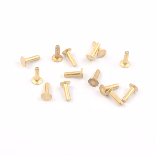 Fasteners for Motorcycle Nickel Plate Solid Rivet