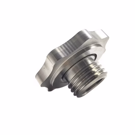 4 Axis Machining/Turning/Milling Prototype Stainless Steel 304 Machine Plug Part Spare Piston