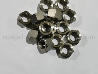 GB 6170 M20 Hexagon Nut in Stainless Steel and Titanium Ta2