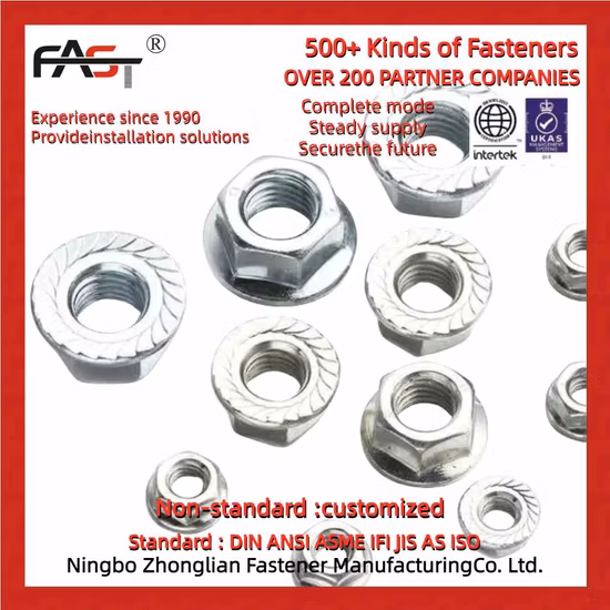 High Strength Titanium Hexagon Flange Nuts M12/M16/M18/M20 Nuts